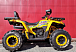 Квадроцикл PROMAX STORM 280 LUX в Новокузнецке
