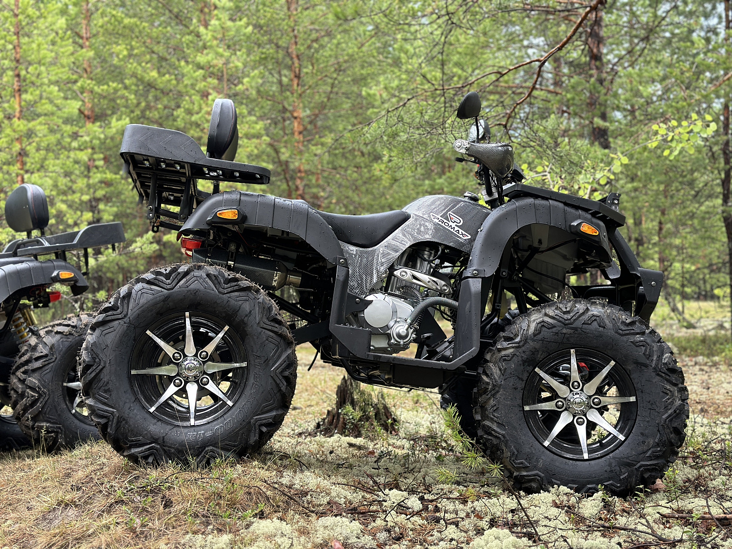 Квадроцикл PROMAX 320 DOMINATOR (2025) в Новокузнецке