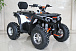 Квадроцикл GBM STORMRIDER 320 PREMIUM в Новокузнецке