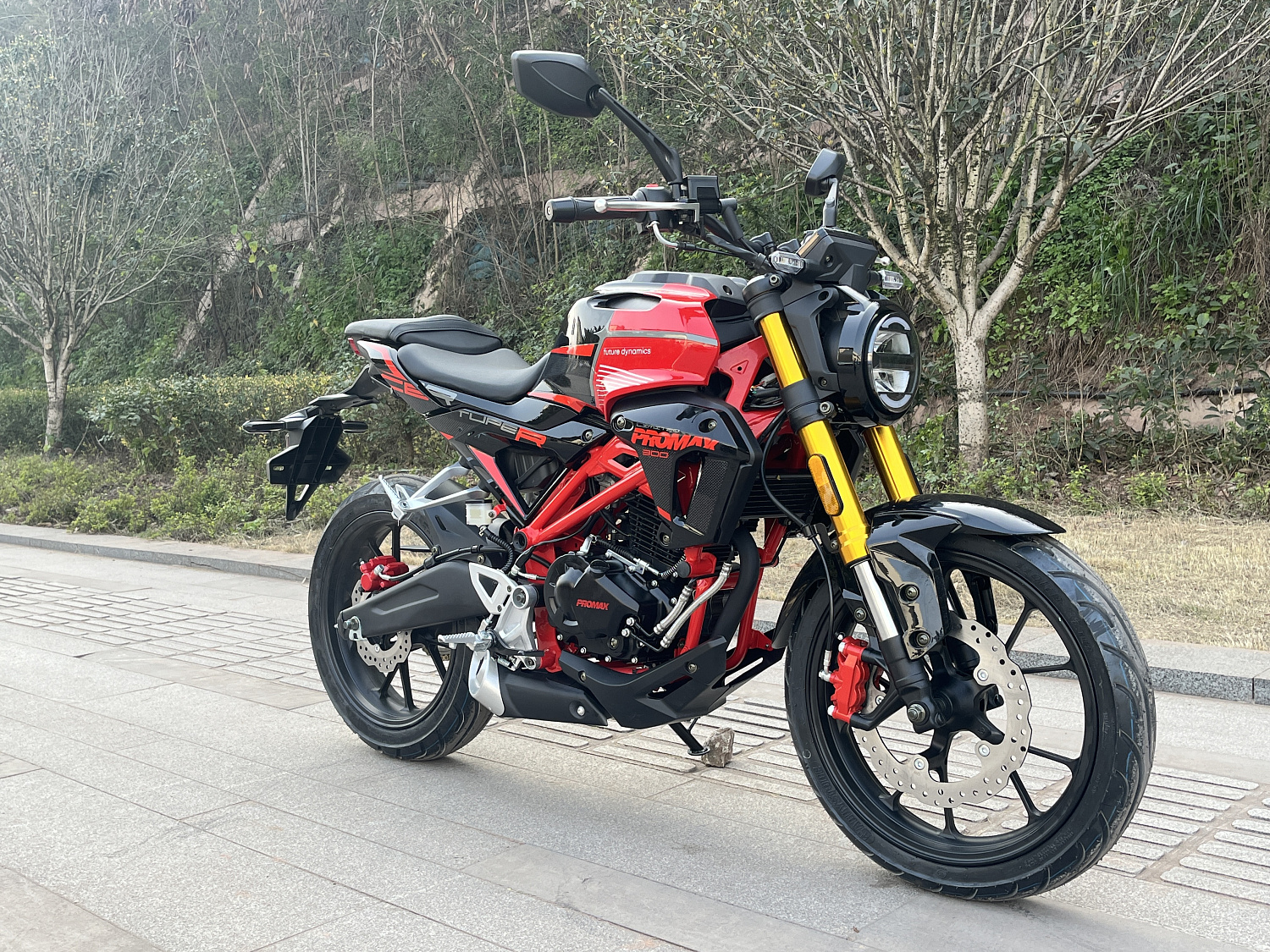 Мотоцикл PROMAX CB300 в Новокузнецке