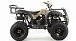 Квадроцикл MOTOLAND (МОТОЛЕНД) 200 ALL ROAD в Новокузнецке