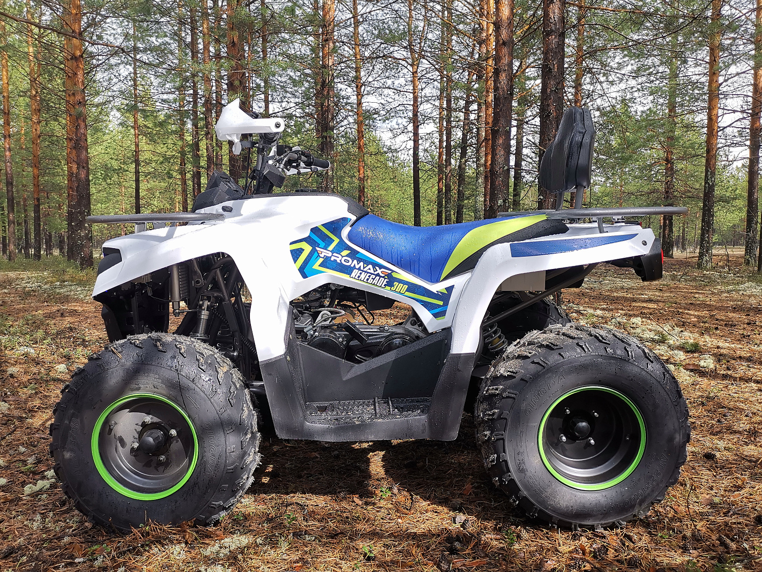 Квадроцикл PROMAX RENEGADE 280 (2025) в Новокузнецке