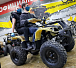 Квадроцикл PROMAX ATV 250 (2025) в Новокузнецке