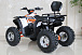 Квадроцикл GBM STORMRIDER 320 PREMIUM в Новокузнецке
