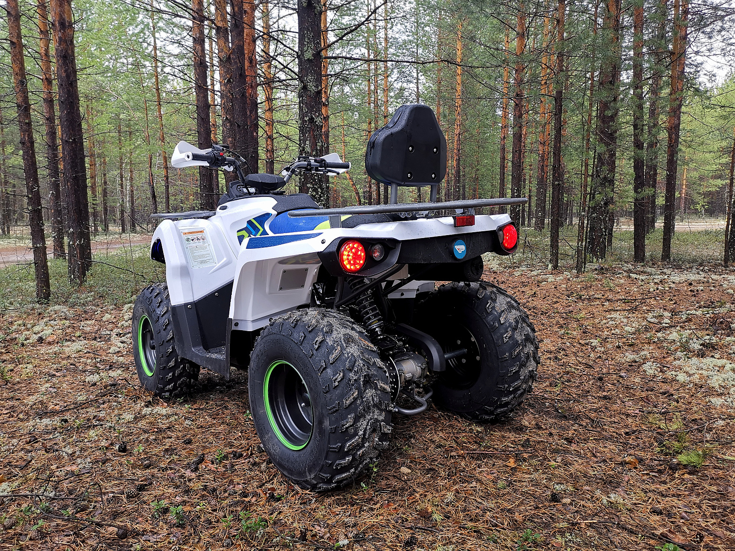 Квадроцикл PROMAX RENEGADE 280 (2025) в Новокузнецке