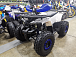 Квадроцикл PROMAX WILD 175 LUX в Новокузнецке