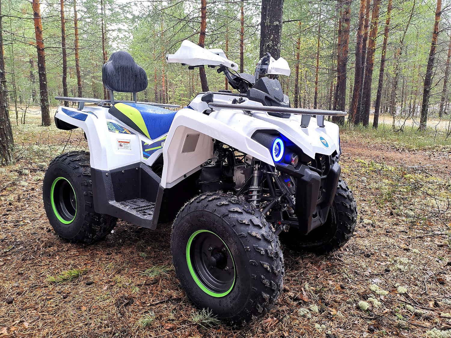 Квадроцикл PROMAX RENEGADE 280 (2025) в Новокузнецке
