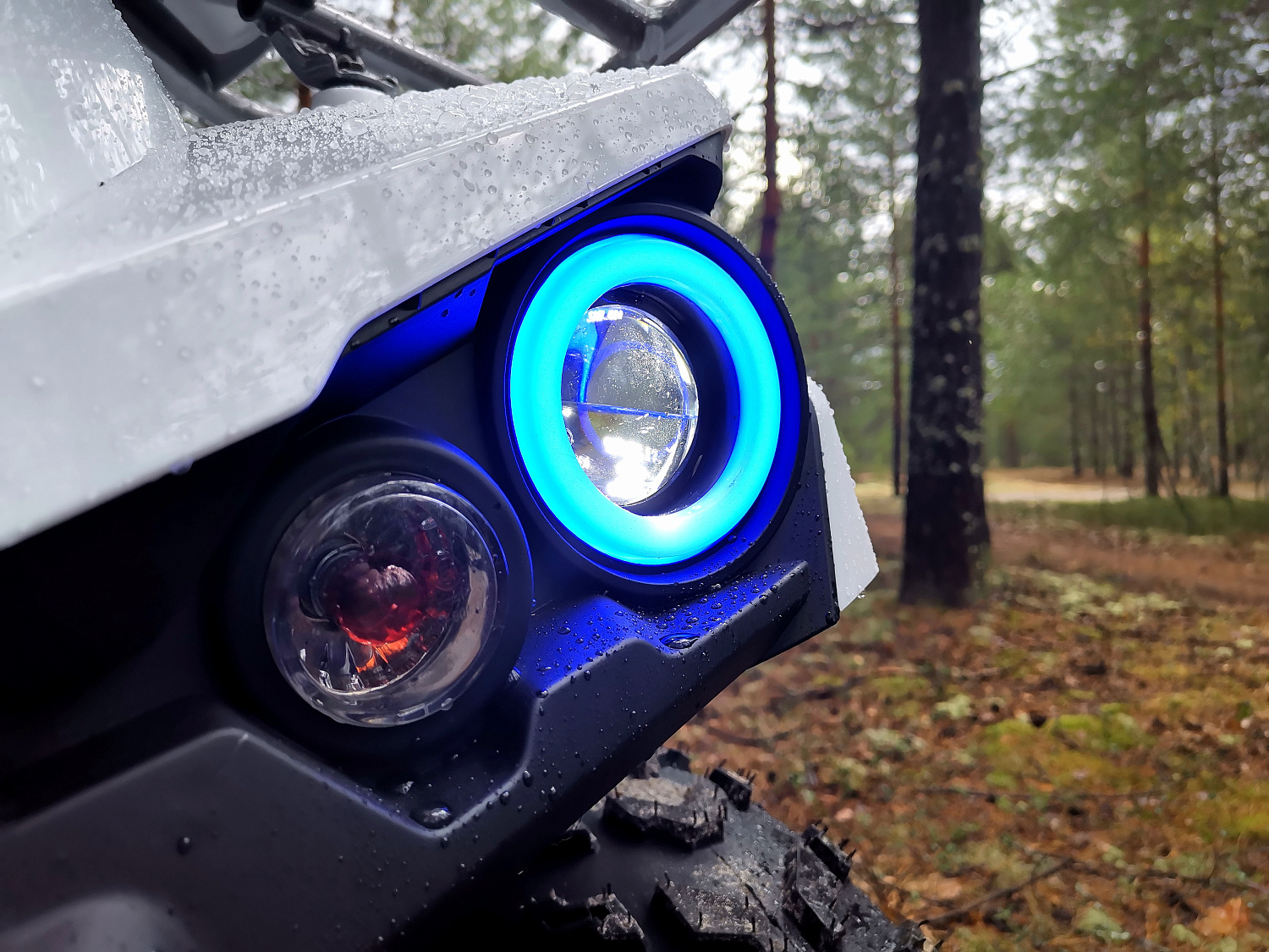 Квадроцикл PROMAX RENEGADE 280 (2025) в Новокузнецке