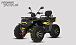 Квадроцикл PROMAX TAURUS 300 MAX-PRO LONG в Новокузнецке